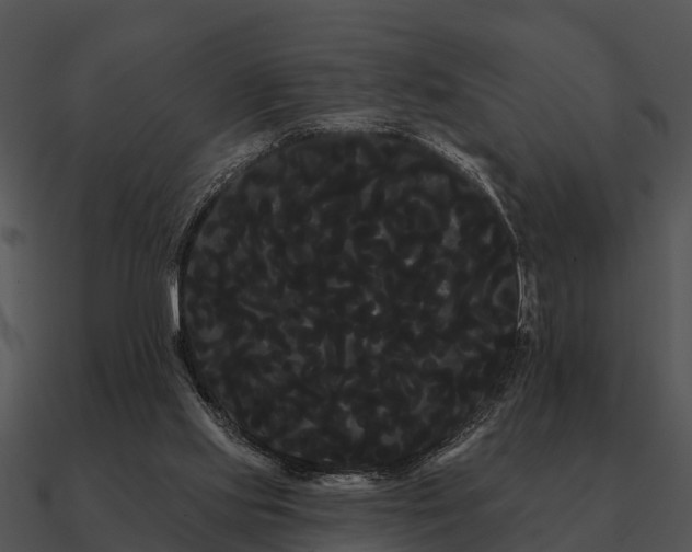 X0000090710061200708031441