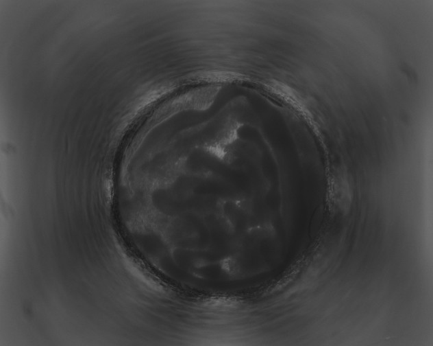 X0000090710063200708031441