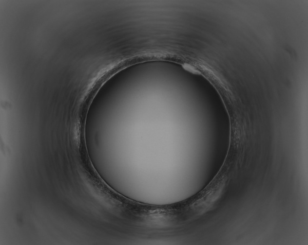 X0000090710064200708031441