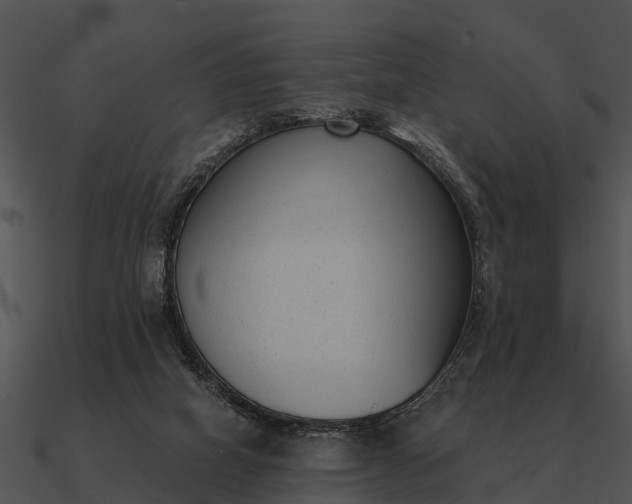 X0000090710066200708031441