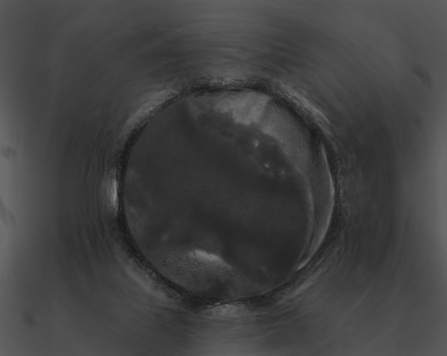 X0000090710067200708031441