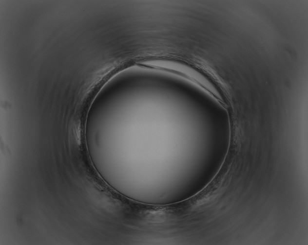 X0000090710068200708031441