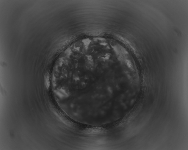 X0000090710069200708031441