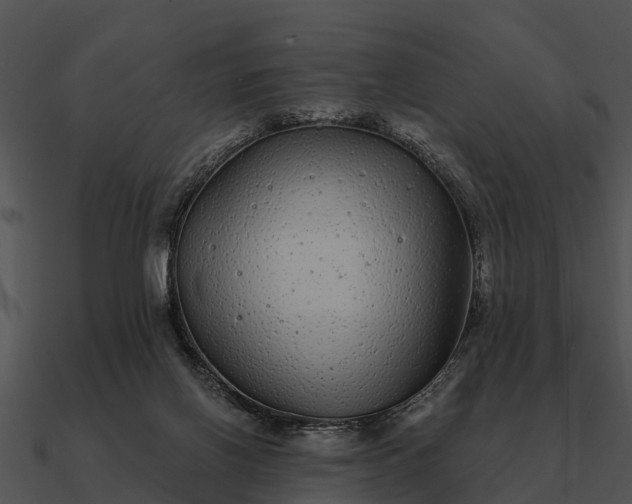 X0000090710070200708031441