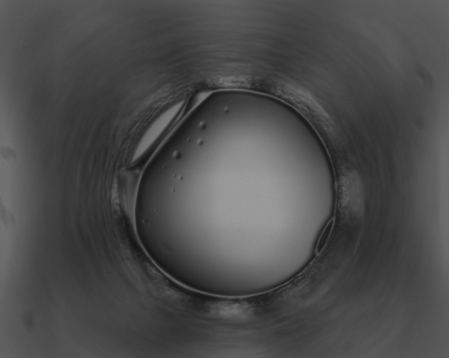 X0000090710073200708031441