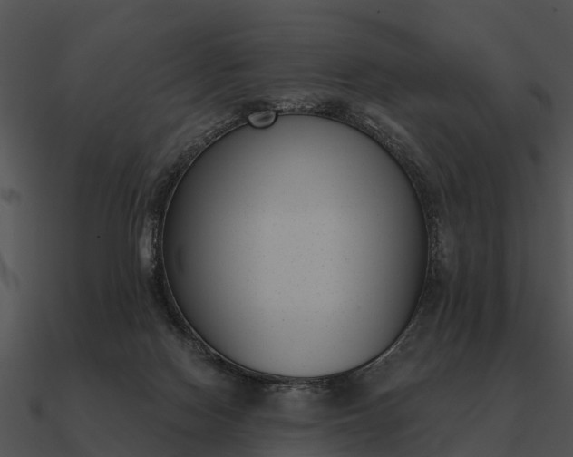 X0000090710074200708031441