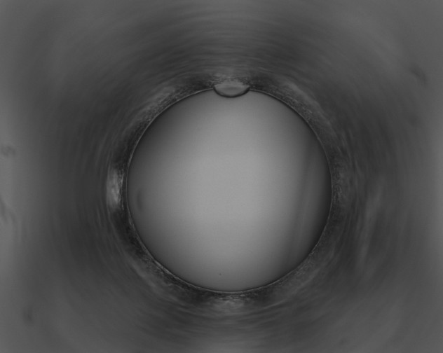 X0000090710075200708031441