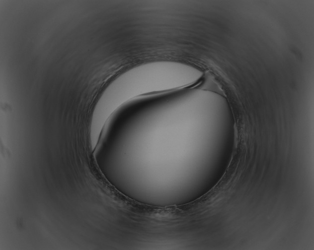 X0000090710076200708031441