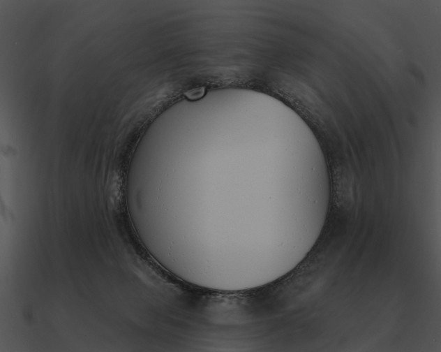 X0000090710077200708031441