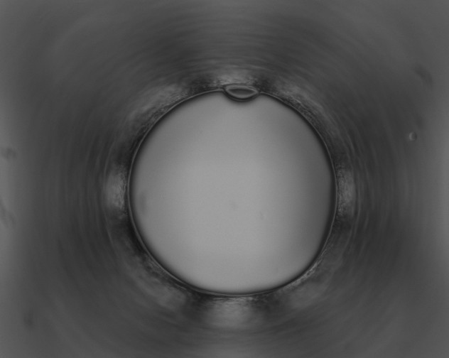 X0000090710078200708031441