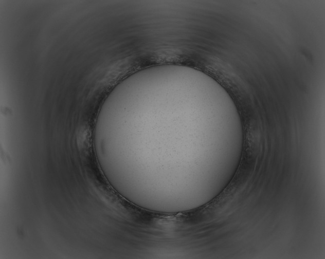 X0000090710079200708031441