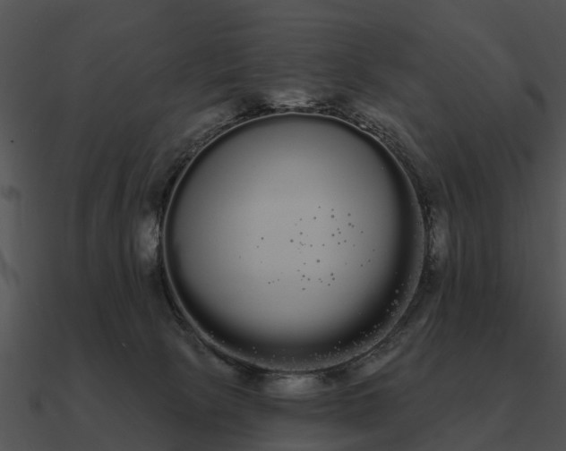 X0000090710081200708031441