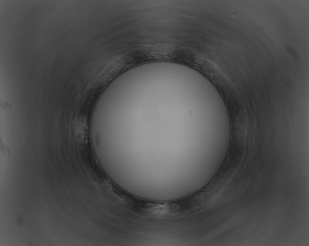 X0000090710083200708031442