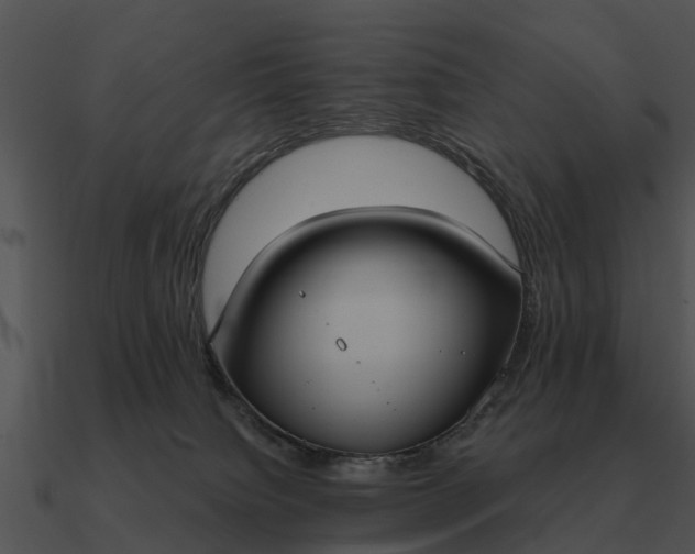 X0000090710084200708031442