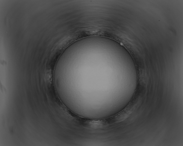 X0000090710085200708031442