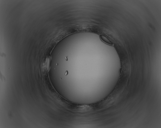 X0000090710087200708031442