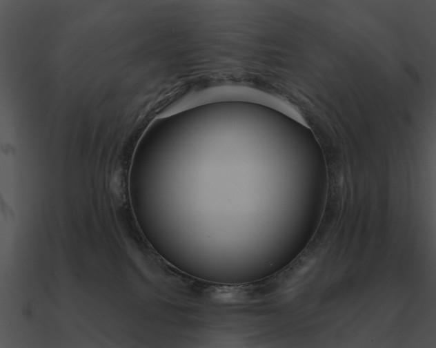 X0000090710088200708031442