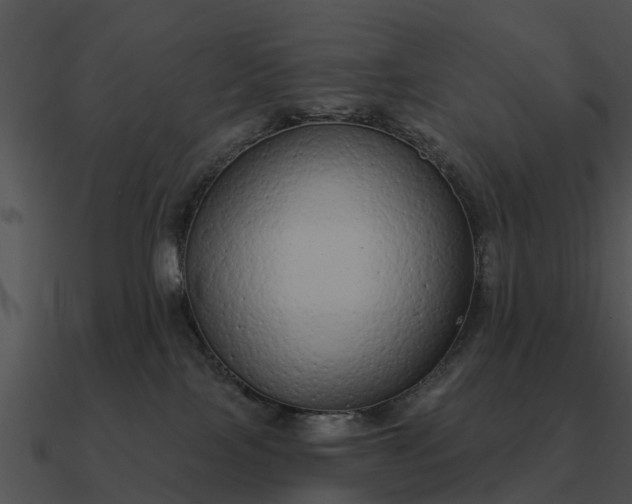 X0000090710089200708031442