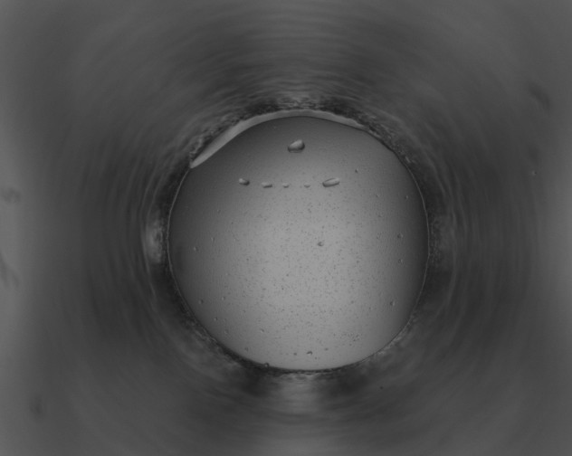 X0000090710090200708031442