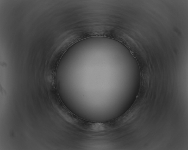 X0000090710091200708031442