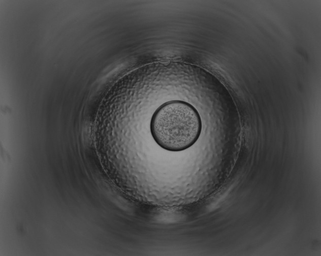 X0000090710093200708031442