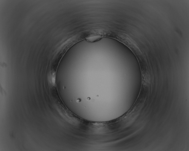 X0000090710095200708031442