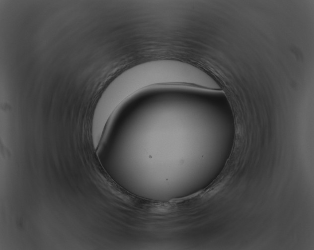 X0000090710096200708031442