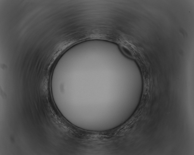 X0000090710098200708031441