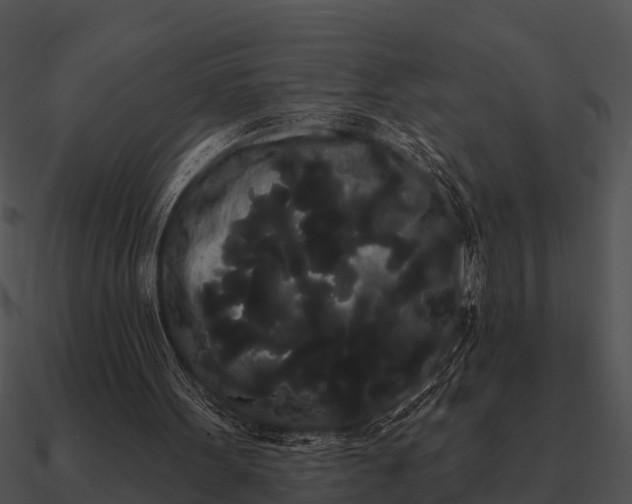 X0000090710099200708031441