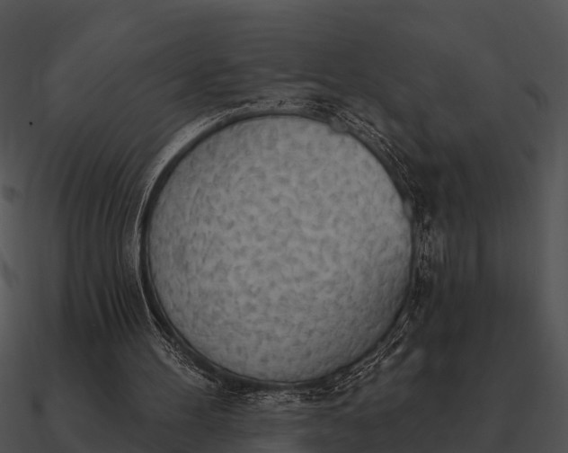 X0000090710100200708031441