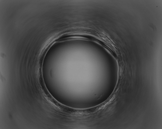 X0000090710101200708031441