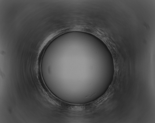 X0000090710102200708031441