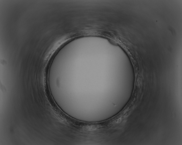 X0000090710103200708031441