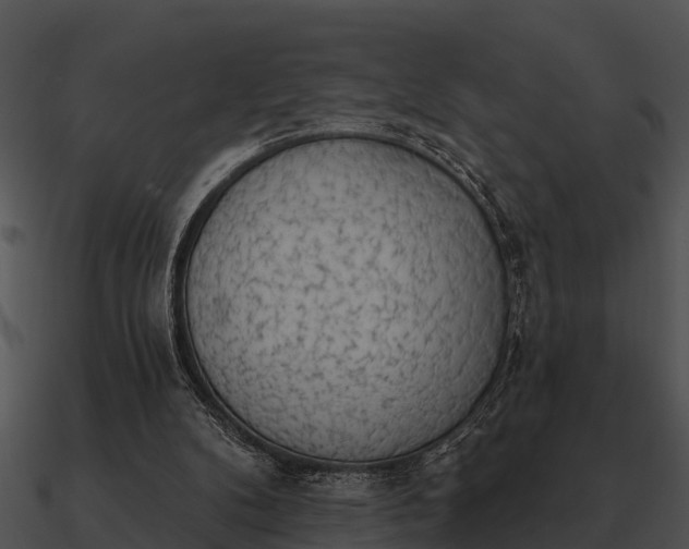 X0000090710104200708031441