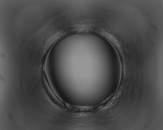 X0000090710105200708031441