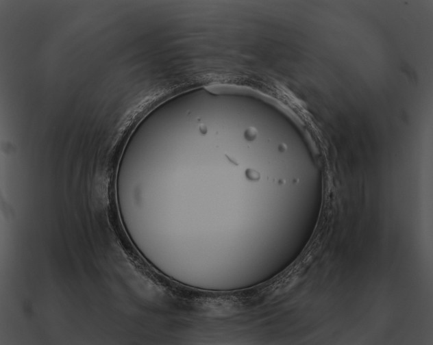 X0000090710106200708031441