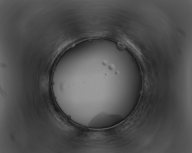 X0000090710107200708031441