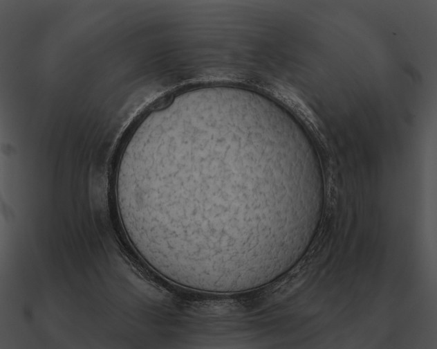 X0000090710108200708031441