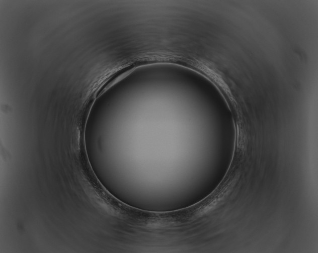 X0000090710109200708031441