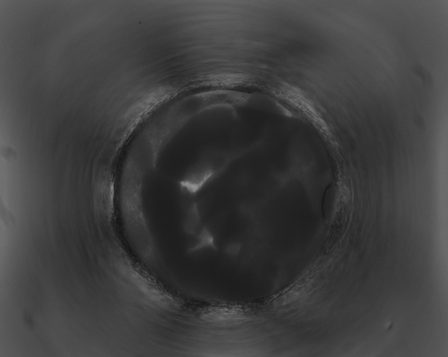 X0000090710110200708031441