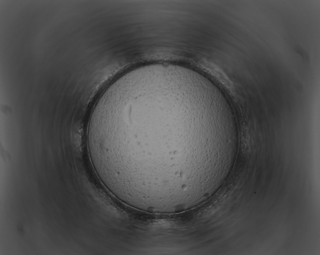 X0000090710111200708031441