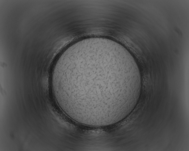 X0000090710112200708031441