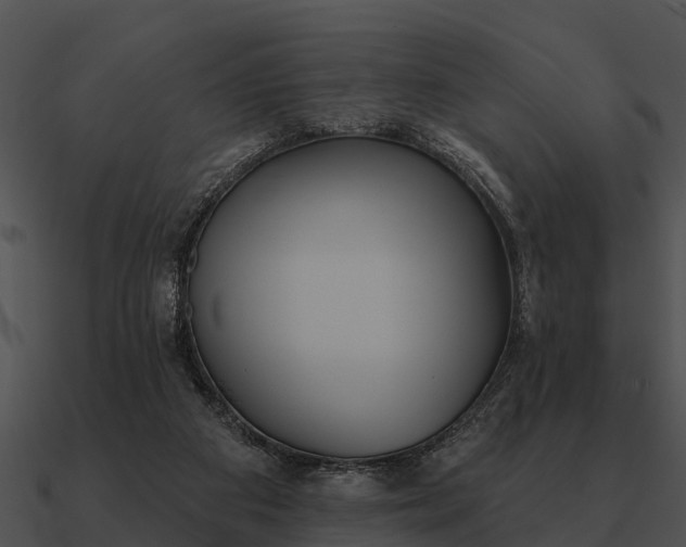 X0000090710113200708031441