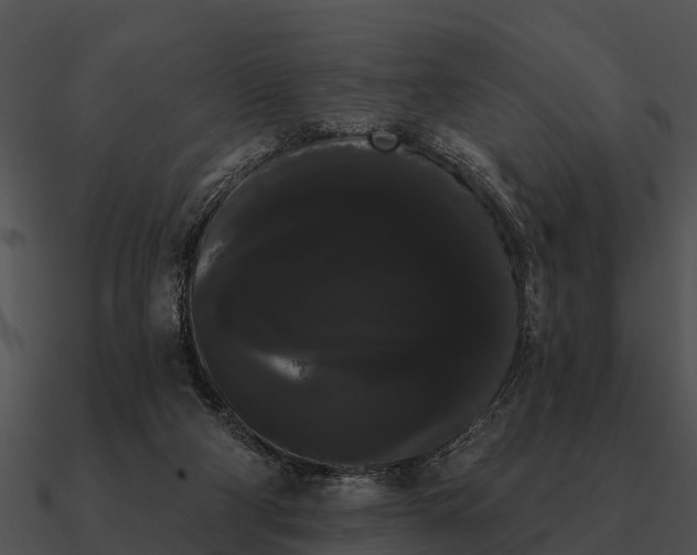 X0000090710114200708031441