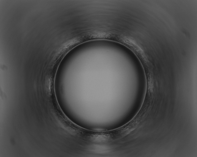 X0000090710115200708031441