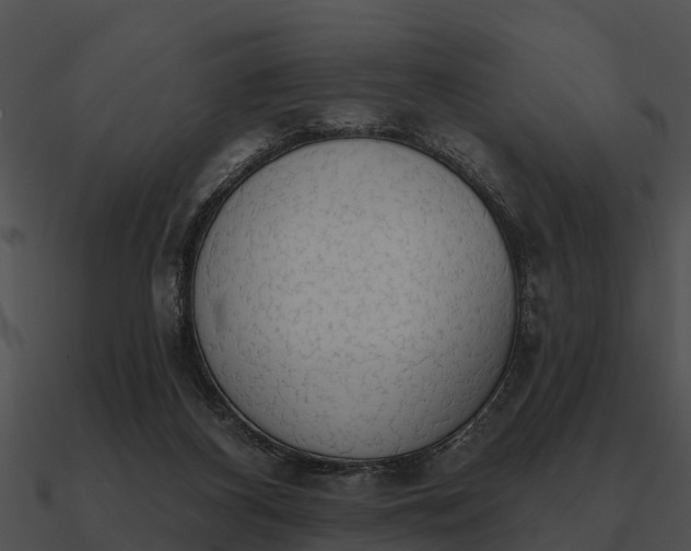 X0000090710116200708031441