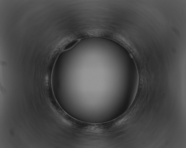 X0000090710117200708031441