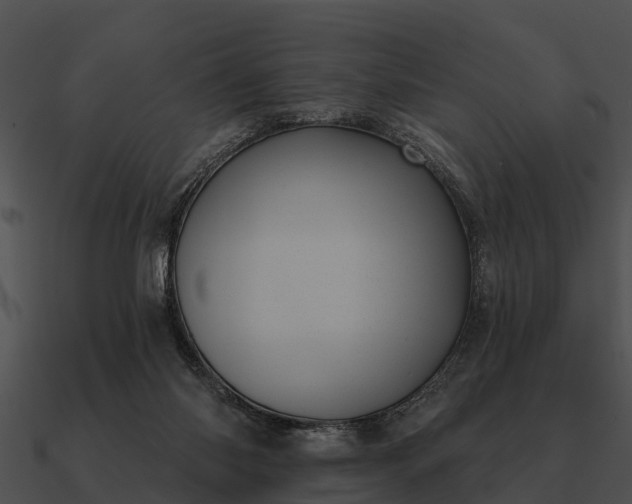 X0000090710118200708031441