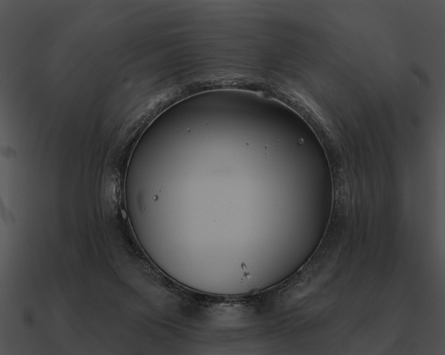 X0000090710119200708031441