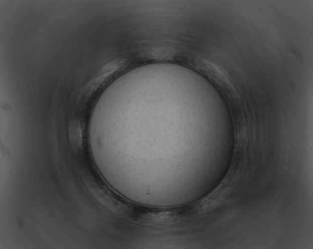 X0000090710120200708031441